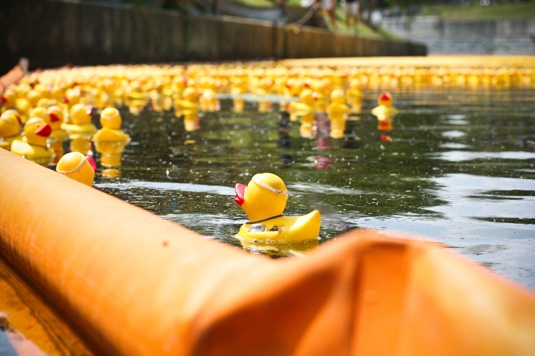 RVA duck race and festival of inclusion